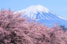 Escursione al Monte Fuji e il Lago Ashi